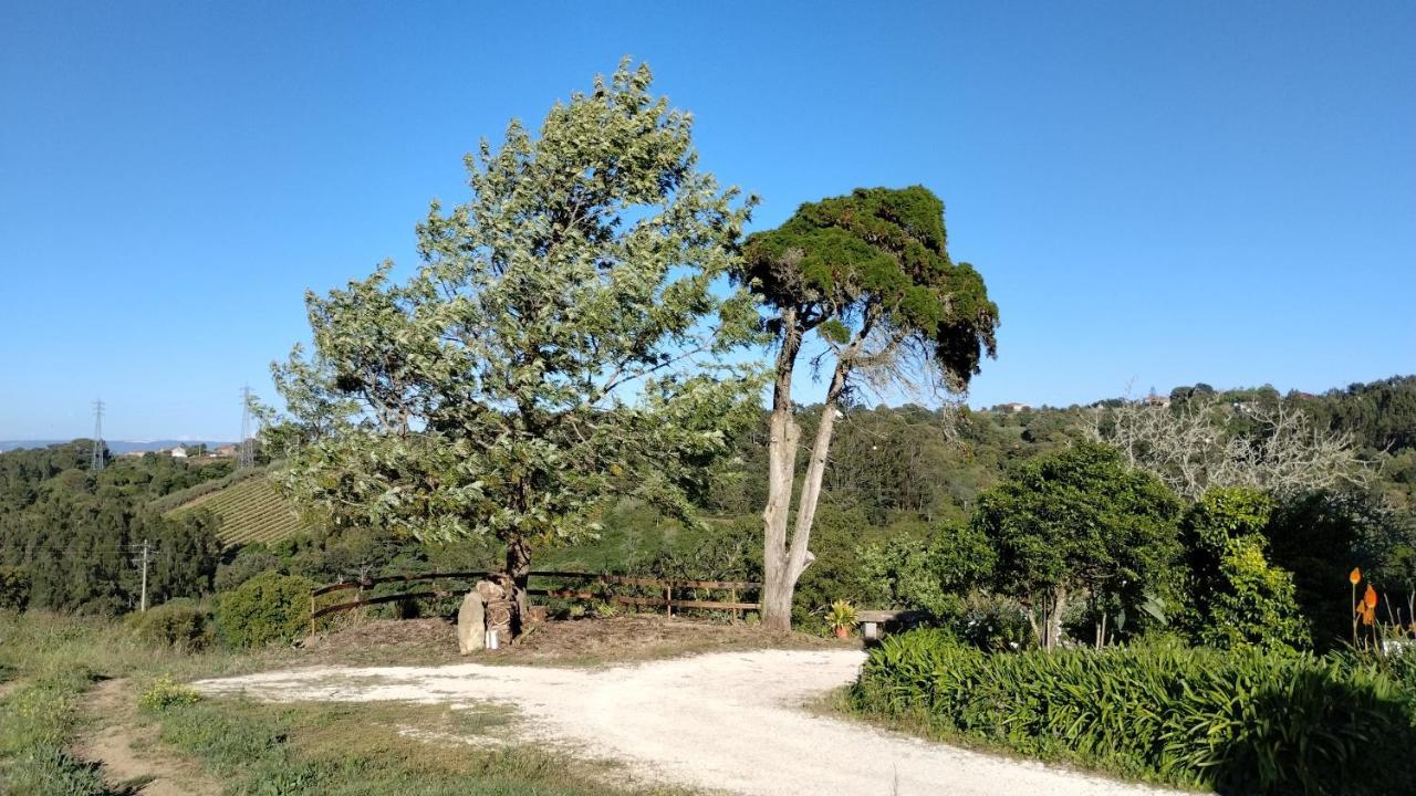 Quinta Do Oratorio Agroturismo Óbidos Buitenkant foto